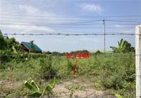 ที่ดินว่างเปล่าหลุดจำนอง ธ.ธนาคารกสิกรไทย นนทบุรี ไทรน้อย ไทรน้อย