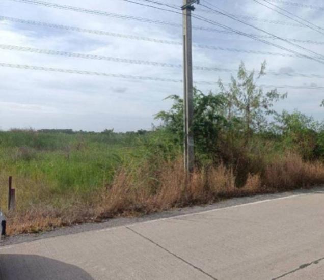 ที่ดินว่างเปล่าหลุดจำนอง ธ.ธนาคารกสิกรไทย นนทบุรี ไทรน้อย ไทรใหญ่