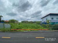 ที่ดินว่างเปล่าหลุดจำนอง ธ.ธนาคารกสิกรไทย นนทบุรี ไทรน้อย หนองเพรางาย